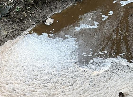 «Чистую воду превратили в собственный отстойник!» Мусорный полигон на Кубани ответит в суде за загрязнение реки