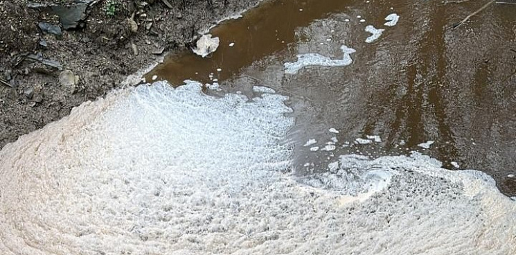 «Чистую воду превратили в собственный отстойник!» Мусорный полигон на Кубани ответит в суде за загрязнение реки